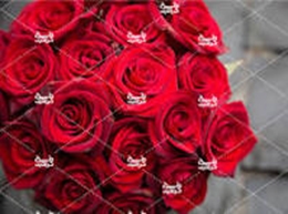 دومین جشنواره علمی پژوهشی دانشجویان و اعضای هیات علمی شاهد و ایثارگر